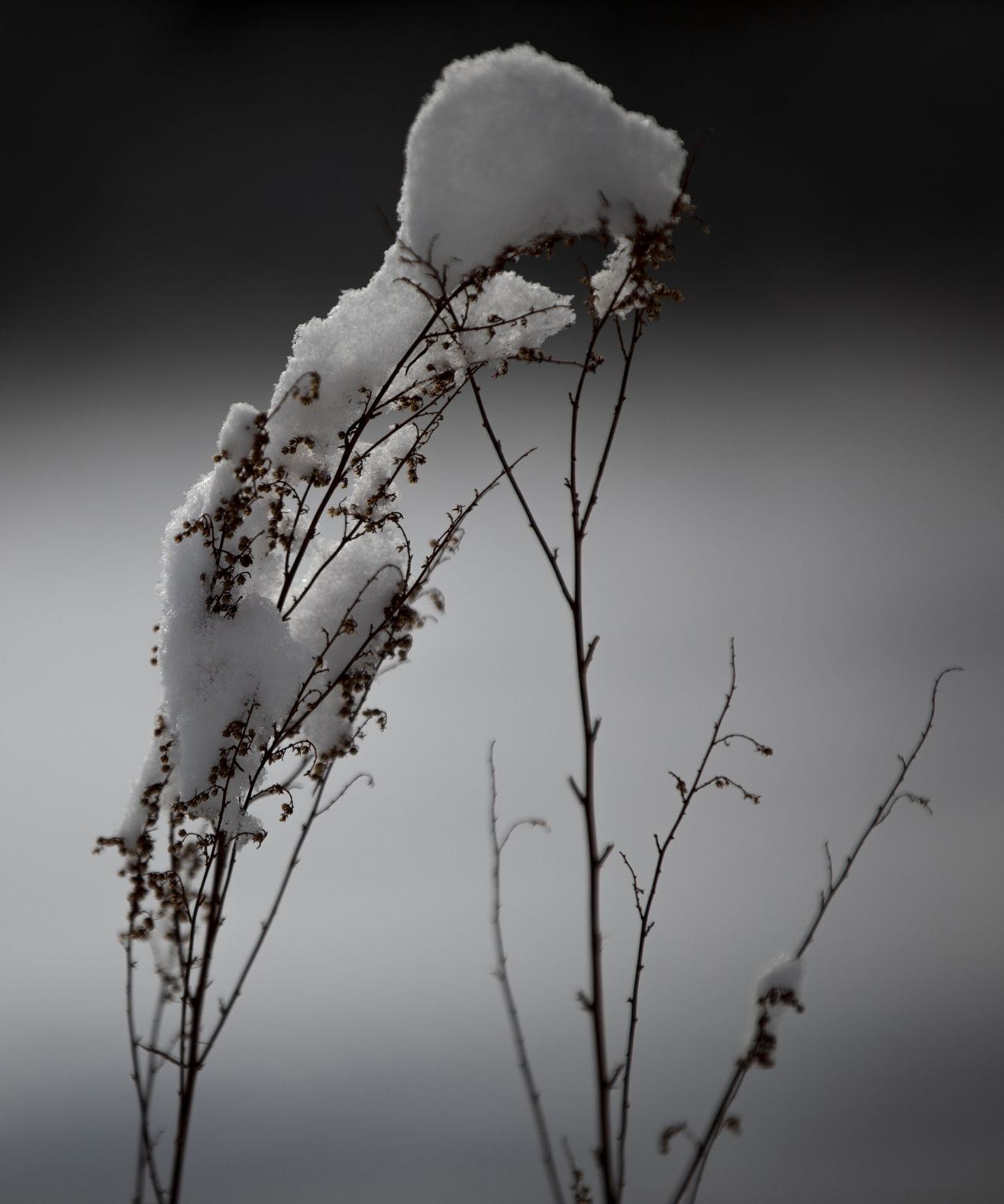 040420-news-snow 03.jpg